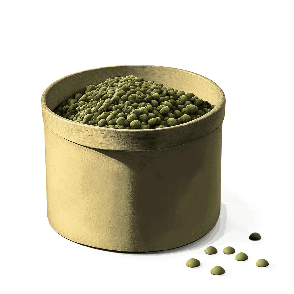 Green lentil